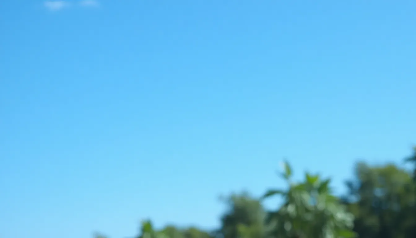 장기요양보험 신청 방법