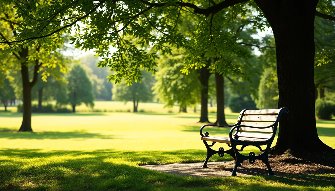 편안한 노후를 보내시는 어르신