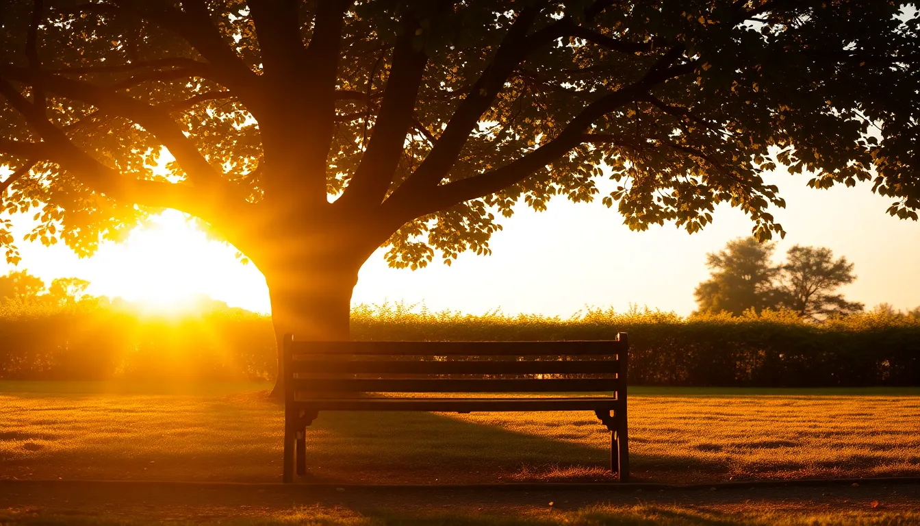 와이파이 QR 아크릴 안내판 사용 예시